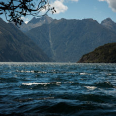 01F2E561F1A30370372D344E5520A8Bfc6D0886813 00001